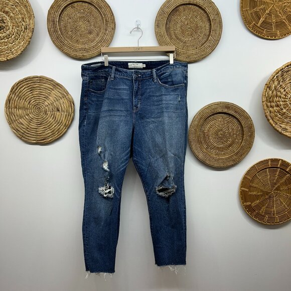 Torrid Blue Distressed Raw Edge High Rise Straight Leg Denim Jeans Plus Size 20 - Picture 1 of 6
